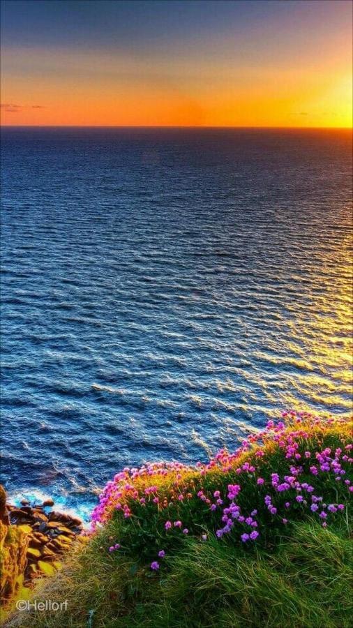La Mata, Torrevieja Daire Dış mekan fotoğraf
