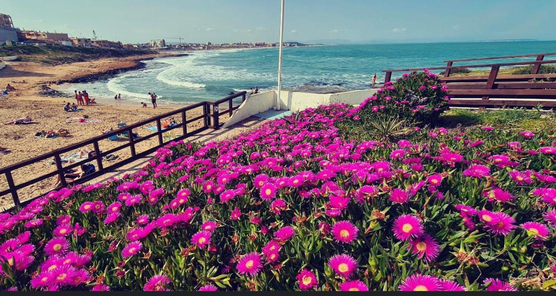 La Mata, Torrevieja Daire Dış mekan fotoğraf